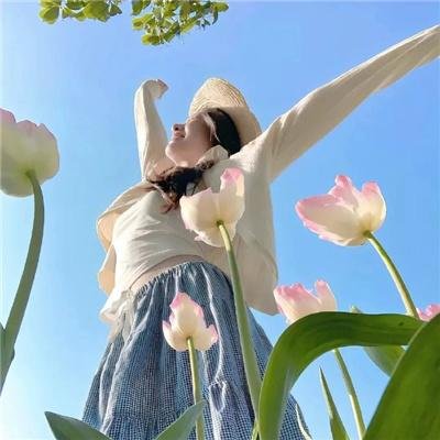 法网追凶第一季